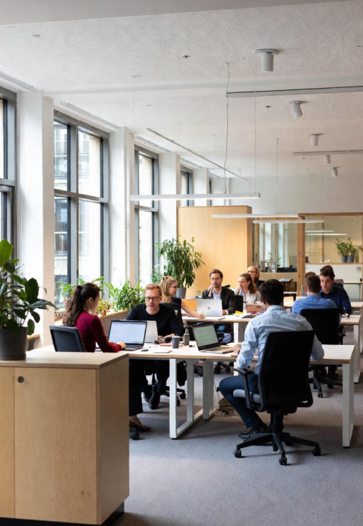 فرصت های شغلی پرتقاضا در فنلاند